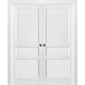 Sartodoors Double Pocket Interior Door, 48" x 80", White LUCIA31DP-BEM-48
